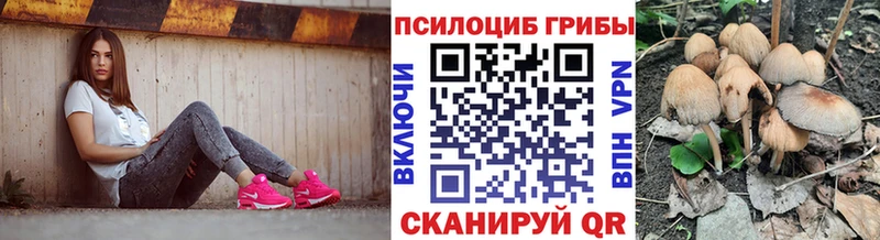 Купить закладки  Ставрополь  Галлюциногенные грибы Psilocybine cubensis 